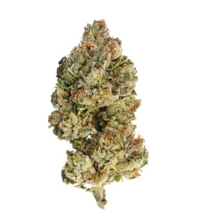 Encore - Sativa - Sativa 28g Dried Flower
